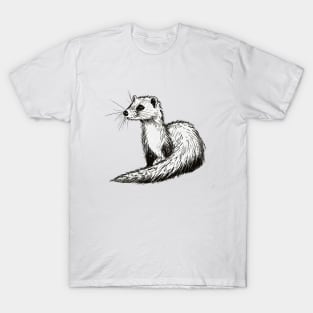 Ferret drawing T-Shirt